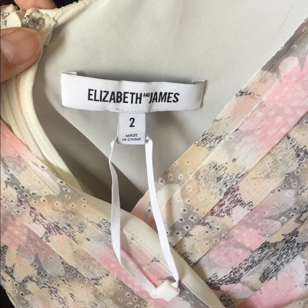 Elizabeth and James Manette Dress